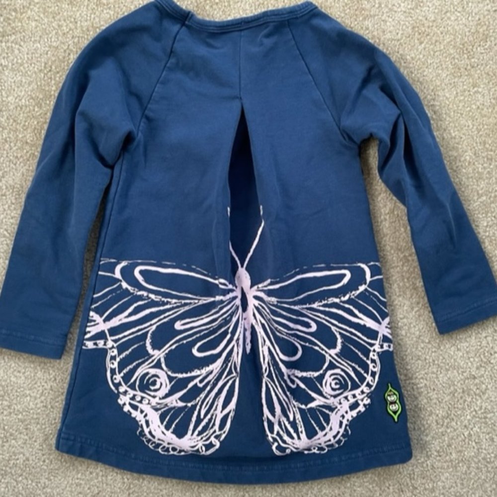 Peekaboo Beans Bundle 1top, jeans and shorts 3T